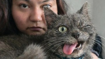 TERUNGKAP! Mengapa Momen ‘Aib’ Hewan Peliharaan Bikin Kamu Ngakak Seharian Penuh!