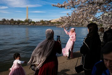 Ledakan Keindahan Sakura Tidal Basin: Mengapa Dunia Berbondong-bondong ke Washington D.C.!