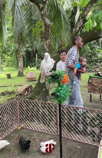 Viral! Resepsi Pernikahan Paling Memukau: Ada Kebun Binatang Mini, Tamu Dijamin Terpukau!