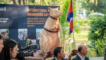 Bukan Manusia! Tikus Raksasa Ini Selamatkan Ribuan Nyawa di Kamboja, Patungnya Bikin Haru!