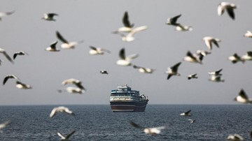 GEGER! Selat Hormuz Ditutup Lagi! 2 Kapal Pertamina Terjebak di Jalur Minyak Paling Berbahaya?