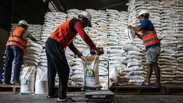 Investasi Raksasa Bulog: 100 Gudang & Penggilingan Modern Amankan Pangan RI!