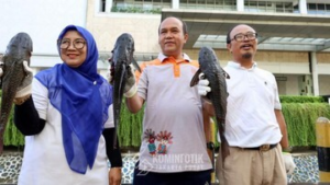 RAHASIA TERBONGKAR! Mengapa Ikan Sapu-Sapu Aman di Amazon Tapi BIKIN CELAKA di Jakarta?