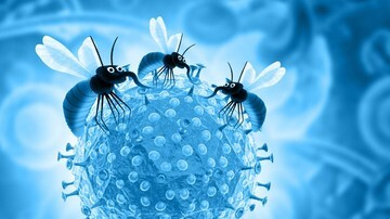 Malaria 2026: Terkuak! Investasi Kunci Mutlak Habisi Pembunuh Diam-diam Ini!