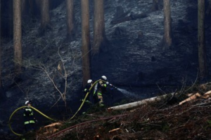 Api Mengganas di Iwate: Pertarungan Sengit Melawan Si Jago Merah di Hutan Otsuchi!