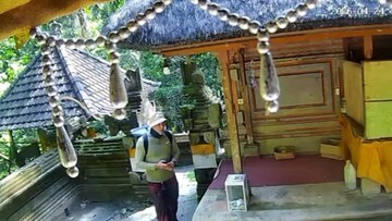 Bali Geger! Turis Asing Tergap Sikat Uang Sesari Pura Goa Gajah Rp 1,8 Juta: Memalukan!