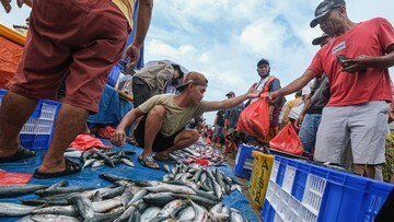 TERBONGKAR! KKP & Brimob Bersatu Jamin Seafood Indonesia BEBAS Radiasi Mematikan!