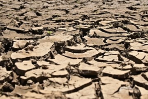 BUMI MEMANAS EKSTREM: Super El Nino Ancam Pecahkan Rekor Suhu Global, Siap Hadapi?