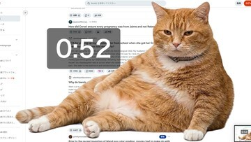 Kucing Oren Penjaga Layar: Rahasia Anti-Scroll & Produktivitasmu!