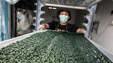 Spirulina Semarang: Emas Hijau Suplemen dan Kosmetik
